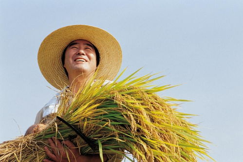 二月二, 农 抬头 市委书记王永康建议为9亿农民设立一个节日,并且每年重奖农民1000万